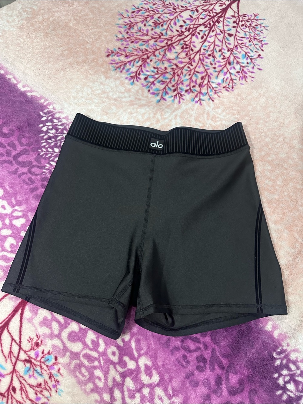 ALO Yoga Black High-Rise Athletic Bike Shorts